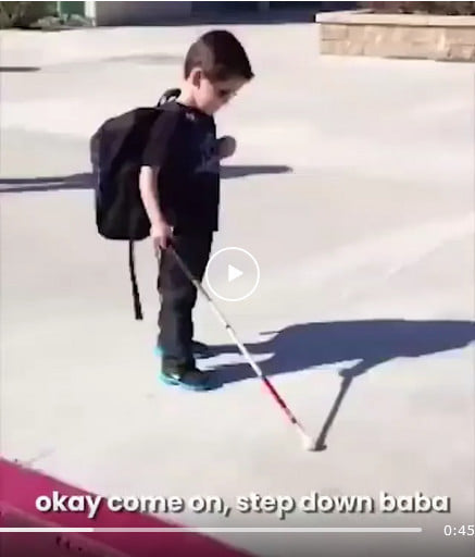 Learning to Use a Support Cane